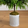 Nearly Natural Artificial Real Touch Norfolk Island Pine in Metal Tin Planter, 5' (T5385)~#|#~B18A2C72-F5B1-49B5-95A40C7A8697543F_sc7