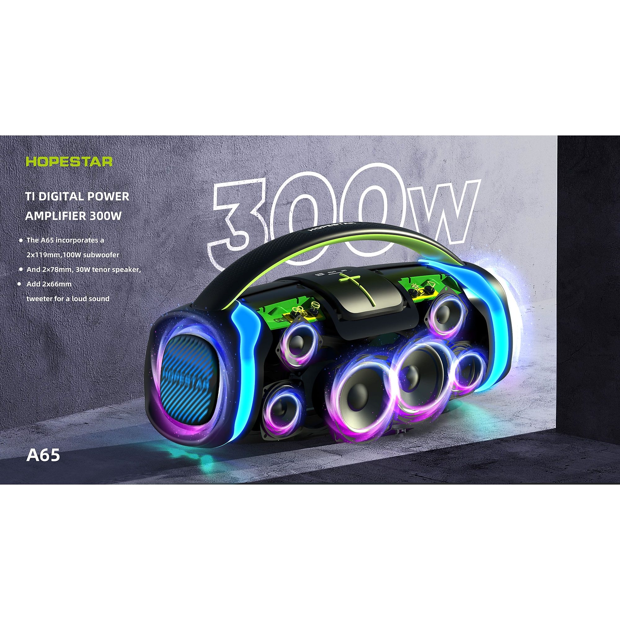 Worryfree Gadgets Hopestar Wireless Bluetooth 300W Portable Speaker, Water Resistant, Black (WA65-BLK) Sansujyuku sansujyuku.com