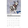 2027 Willow Creek Dalmatians  12" x 12" Monthly Wall Calendar (59975)~#|#~B1926580-B9CC-461D-81D4224F3E990539_sc7