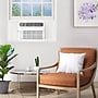 Frigidaire 230-Volt 18800 BTU Window Air Conditioner with Remote, White (FHWH184WB2)~#|#~B196EE76-1B7B-48D8-8D160A90E7B96BD4_sc7