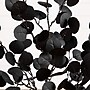 Nearly Natural Pre-Lit Artificial Halloween Black Eucalyptus Tree, 3' (T5220)~#|#~B1ADFA0C-22DB-483B-8B1F8A9C61CA8CAE_sc7