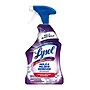 Lysol Mold & Mildew Remover with Bleach, Unscented, 32 fl oz., 12/Carton (1920078915)~#|#~B1B71532-F42A-4D0D-BA2F89E354EE8077_sc7