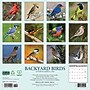 2026 Willow Creek Backyard Birds 12" x 12" Monthly Wall Calendar (50026X)~#|#~B1B7CB98-012C-4A8F-8AE7A63CF63AE47F_sc7