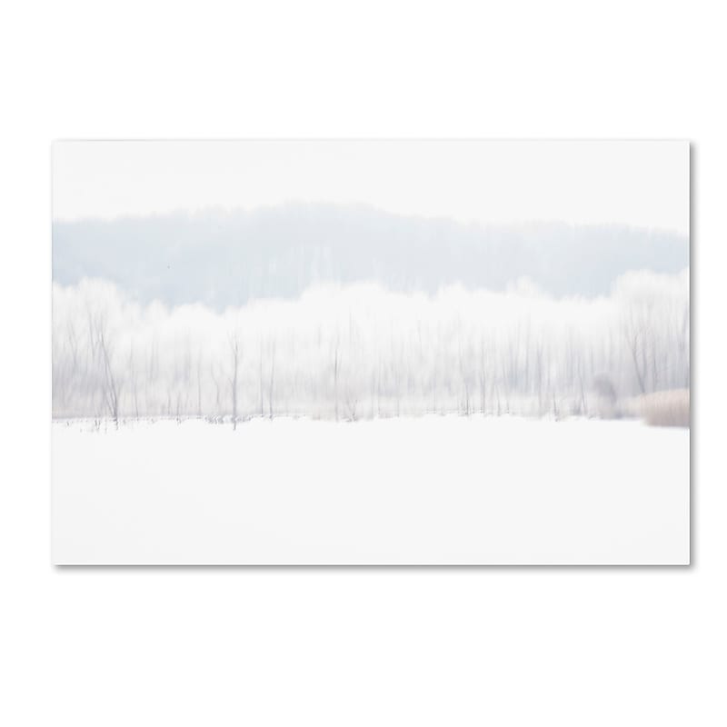 Trademark Fine Art ''Abstract Winter Beaver Marsh'' by Kurt Shaffer 12" x 19" Canvas Art (KS01091-C1219GG) image 1