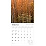2026 BrownTrout Tennessee Wild & Scenic 12" x 12" Monthly Wall Calendar (9798330705795)~#|#~B1C90CFF-A075-41A1-AC578BD46C66EF18_sc7
