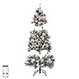Safavieh 5.5 ft. Pre-Lit Frosted Green Artificial Christmas Tree, 200 Lights (FXP2019A)~#|#~B1E45FC4-64C2-482D-AFD9D63A4755F25C_sc7