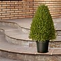 National Tree Company 30" Artificial Upright Juniper (LCY4-30)~#|#~B1EF042A-0156-4FA4-AD566E35FEDB045E_sc7