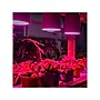 Viribright Virigrow 9-Watts Full-Spectrum LED Indoor Garden Grow Light Bulb, 4/Box (290103-4)~#|#~B231ED02-5D05-4252-B4CB044F43BEBCC6_sc7