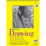 Strathmore 300 Series 9" x 12" Wire Bound Drawing Sketch Pad, 50 Sheets/Pad, 3/Bundle (STTP340903-3)~#|#~B240CC55-8813-4A2A-97FAC2A246450990_sc7
