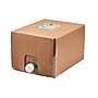 Bare Ground Winter Ice Melt Liquid, 5-Gallon Jug (PoFo-5G)~#|#~B24AE01B-692D-4544-939B6706AA8A3B5B_sc7