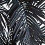 Nearly Natural Artificial Halloween Black Golden Cane Tree, 6' (T5141)~#|#~B25ECDAC-F106-4F45-817E5B94AD2CB0F2_sc7