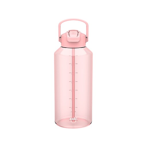 【⭐︎ゆっこ⭐︎】water life series Beacon Kids Insulated Bottle - Gabby's Dollhouse, 14 Ounces