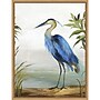 Amanti Art Blue Heron by Aimee Wilson Framed Canvas Wall Art Print, 18" x 24" (A42674987140)~#|#~B2879ED2-8206-4F03-B0FE8A515B60C796_sc7