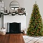 National Tree Company North Valley Spruce Artificial Christmas Tree (NRV7-301-65)~#|#~B28E00B1-63CD-4955-BFF1C322E52BA050_sc7