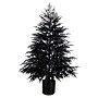 Nearly Natural Artificial Halloween Real Touch Black Norfolk Pine Christmas Tree, 6' (T5244)~#|#~B2917B5B-8DAF-40E0-B491E988FB329D88_sc7