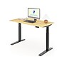 FlexiSpot E7 Pro 55"W Electric Adjustable Standing Desk, Bamboo/Black (E7BPRO5528-LBZB)~#|#~B29A6084-ECC1-4F88-86505AA59DC8420D_sc7