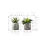 Monarch Specialties Inc. 6" Artificial Succulent Plant in Pot, 2/Set (I 9586)~#|#~B2AD21B1-F67F-4DE1-92E935BBBD931E9B_sc7