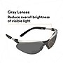 3M BX Anti-Fog +2.00 Safety Glasses, Over the Glasses, Gray Lens, 20/Carton (11378-00000-20)~#|#~B2D0B91F-AD19-4B77-8215C0A83A4E477D_sc7