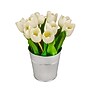 National Tree Company 9" White Tulip Bouquet in Metal Pot (MT81-130TU25PWH)~#|#~B2D25115-C6E1-48A3-9B9404C9D8F27209_sc7