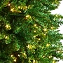 Nearly Natural 12' Slim Green Mountain Pine Artificial Christmas Tree with 1100 Clear LED Lights (T3330)~#|#~B2E764C6-AF2A-4BEB-B4BAFC3C00FD2CBD_sc7