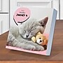 2027 TF Publishing Cat A Day 5.25" x 5.25" Daily Day-to-Day Calendar, Multicolored (27-3002)~#|#~B2F6CFA2-3ED8-4844-8DBC3D448F88DD3A_sc7