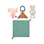 Fisher-Price So Many Senses Gift Set (HRB17)~#|#~B306EEB8-CF14-4C0E-92438EC7F02F0451_sc7