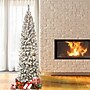 National Tree Company Acacia Artificial Christmas Tree (AC100-304-75F)~#|#~B3474750-1EE4-4804-A670A6ED6F7DAEAE_sc7