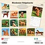 2026 BrownTrout Rhodesian Ridgebacks 12" x 12" Monthly Wall Calendar (9798330705337)~#|#~B34DA35A-8F91-4D88-9EB8D792171F5027_sc7