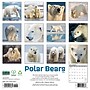 2027 Willow Creek Polar Bears 12" x 12" Monthly Wall Calendar, Assorted Colors (61831)~#|#~B350D8FA-BDC6-4CC1-BC0D1722DA9D31BE_sc7