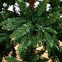 Nearly Natural 6-ft Pre-Lit Artificial Idaho Mixed Fir Christmas Tree with 130 Warm White LED Lights (T4791)~#|#~B351DAE7-BC87-4BA5-A891EE28954DBB1E_sc7