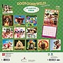 Gone Wild Day Calendar 2025 