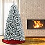 National Tree Company Acacia Artificial Christmas Trees (AC100-308-60F)~#|#~B358E4A2-4F89-418D-B96F15DA60F193C4_sc7