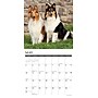 2026 Willow Creek Collies 12" x 12" Monthly Wall Calendar (50804)~#|#~B359586B-D344-41D8-80A7E5CECD51428C_sc7