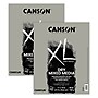 Canson XL Series 11" x 14" Mixed Media Sketch Pad, 10 Sheets/Pad, 2/Bundle (MCXC31078P015-2)~#|#~B37D033F-762E-4DD0-AA4081A1ADE492FD_sc7