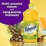 Fabuloso 2X All-Purpose Cleaner, Pineapple Scent (61052982)~#|#~B3818303-677A-4723-94A66C0613E22A1D_sc7