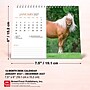 2027 BrownTrout Horse Lovers 7.5" x 6" Monthly Wall Calendar, Assorted Colors (9798330709397)~#|#~B394B4ED-D8B0-4BAF-876CED944F7D206D_sc7