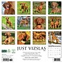 2026 Willow Creek Vizslas 12" x 12" Monthly Wall Calendar (53089)~#|#~B3A5DF06-4E9D-4957-92C8A5677A0F33F3_sc7