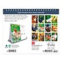 2026 BrownTrout Chickens 7.5" x 6" Monthly Desk Calendar (9798330702862)~#|#~B3C1486C-D6E2-46EC-96DD0781CE0F1383_sc7