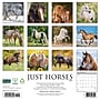 2027 Willow Creek Horses 12" x 12" Monthly Wall Calendar, Assorted Colors (60704)~#|#~B3DD3341-4107-418C-B4E70EA453F5C3B8_sc7