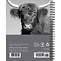 2027 Willow Creek Highland Cows 6.5" x 8.5" Weekly & Monthly Desk Calendar (64412)~#|#~B3E76461-CADD-4EB4-B6AD1AB50A27B213_sc7