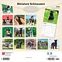 2026 BrownTrout Miniature Schnauzers 12" x 12" Monthly Wall Calendar (9798330705467)~#|#~B3FAC40B-0EB0-4CF0-996294AFF51B2DCD_sc7