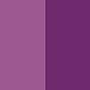 bentgo Classic All-in-One Bento Box, 2-Compartment, Purple (BENTGO-P)~#|#~B4041488-6CE4-433C-B7FB4BD3E41344F3_sc7