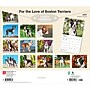 2027 BrownTrout For the Love of Boston Terriers 14" x 12" Monthly Wall Calendar, Assorted Colors (9798330714667)~#|#~B405AD4C-12BF-4104-85F9FC2C4A1BCFC9_sc7