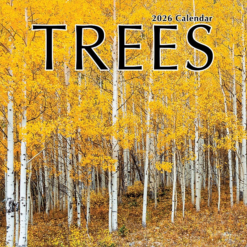 2026 TF Publishing Trees 12" x 12" Monthly Wall Calendar, Multi (26-1029) image 1