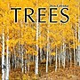 2026 TF Publishing Trees 12" x 12" Monthly Wall Calendar, Multi (26-1029)~#|#~B413BDEB-C3E4-4BDE-800E98D8701019FD_sc7