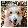 2027 Willow Creek So God Made a Dog 12" x 12" Monthly Wall Calendar, Assorted Colors (62418)~#|#~B421FC59-9533-484A-B5DD4B83090C7318_sc7