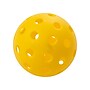 Champion Sports Recreational Outdoor Pickleball Set, Yellow (CHSPB6OTDSET)~#|#~B42B0E9E-A2A9-4DD0-9B80F8D61E88E51D_sc7