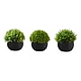Monarch Specialties Inc. 5" Artificial Plant in Pot, 3/Set (I 9552)~#|#~B443E755-4269-4754-ABD8636AFDCCC457_sc7