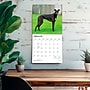 2027 BrownTrout Greyhounds 12" x 12" Monthly Wall Calendar (9798330712502)~#|#~B4490199-1189-49CE-B4C5C4D70AE4BC17_sc7