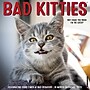 2026 Willow Creek Bad Kitties 12" x 12" Monthly Wall Calendar (50040X)~#|#~B4491BFD-837B-455F-BD9FE898F95BDF98_sc7